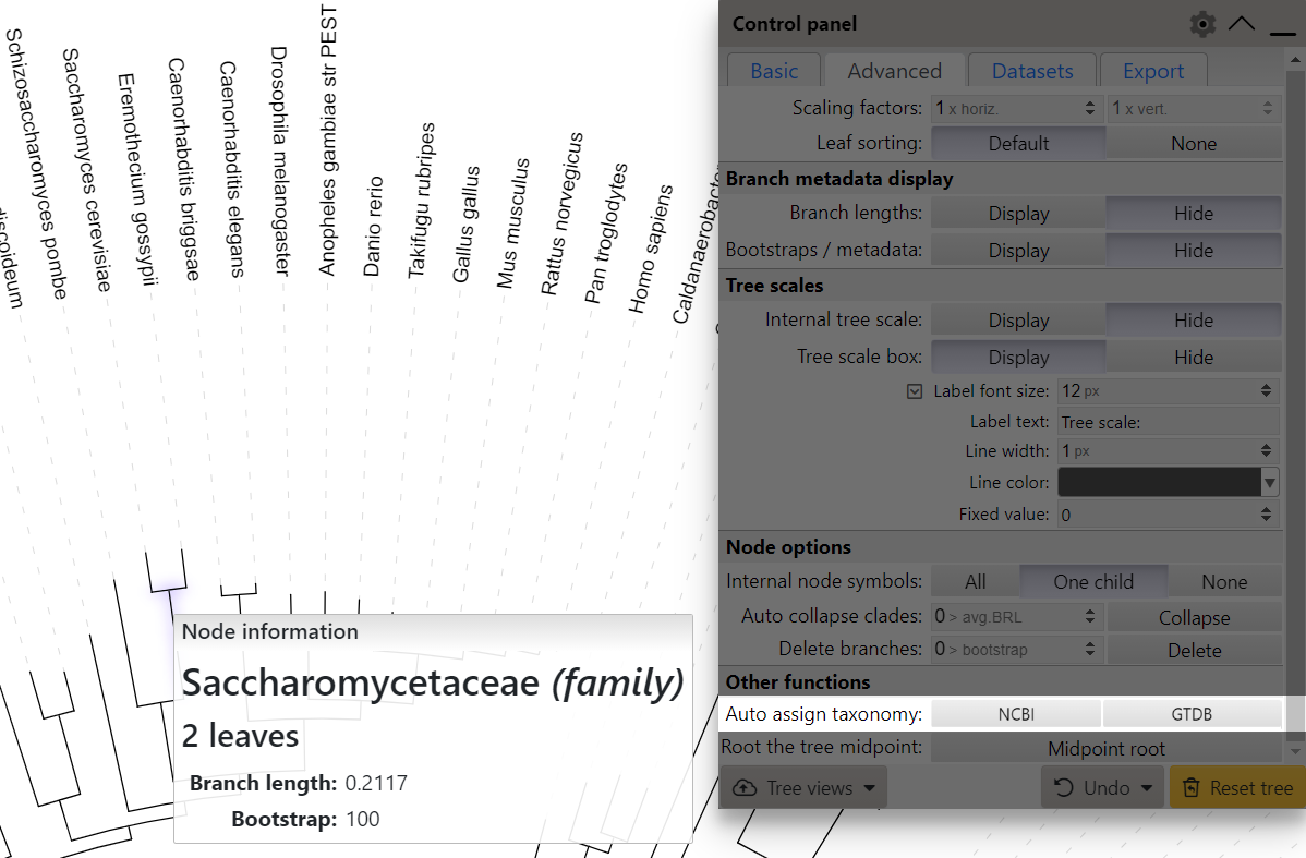 Automatic taxonomy assignment