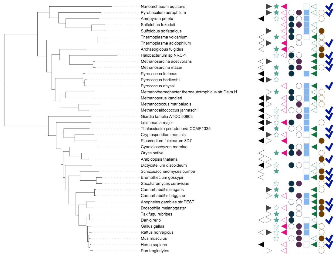 A binary dataset with multiple columns