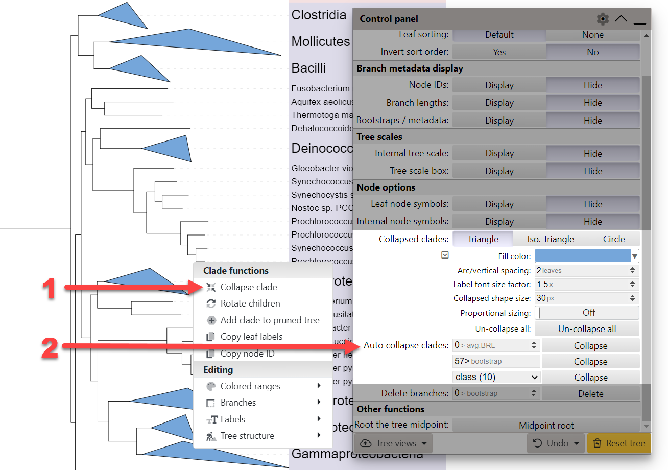 Collapsing tree clades