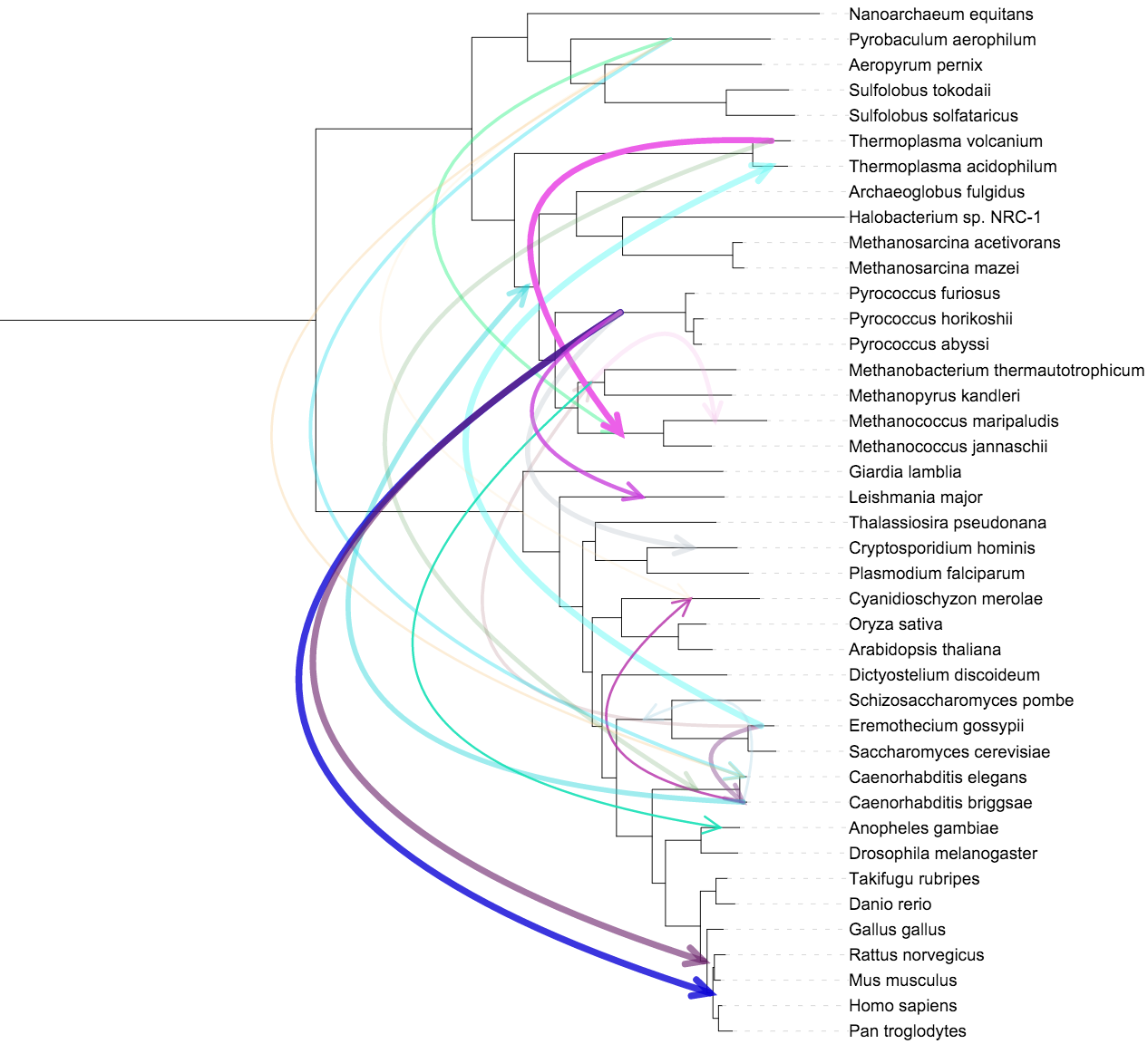 An example connections dataset with arrow heads displayed