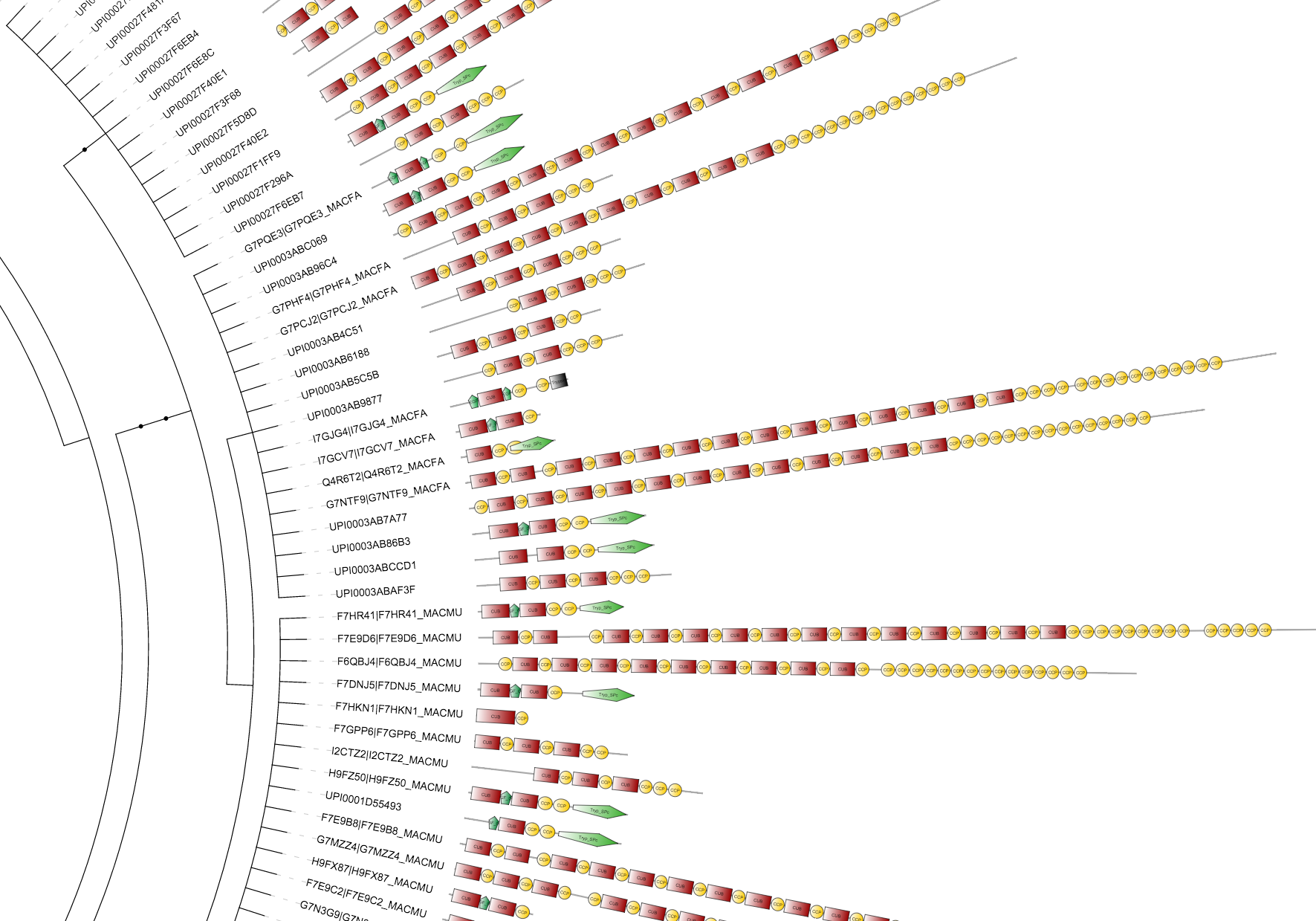 An example protein domain architecture dataset