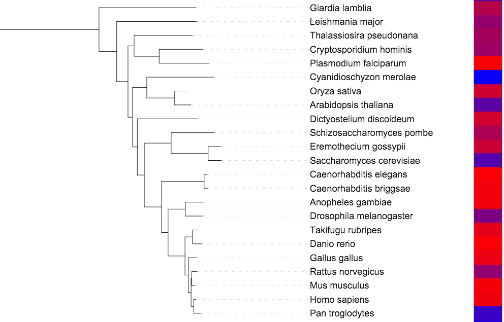 A color gradient dataset