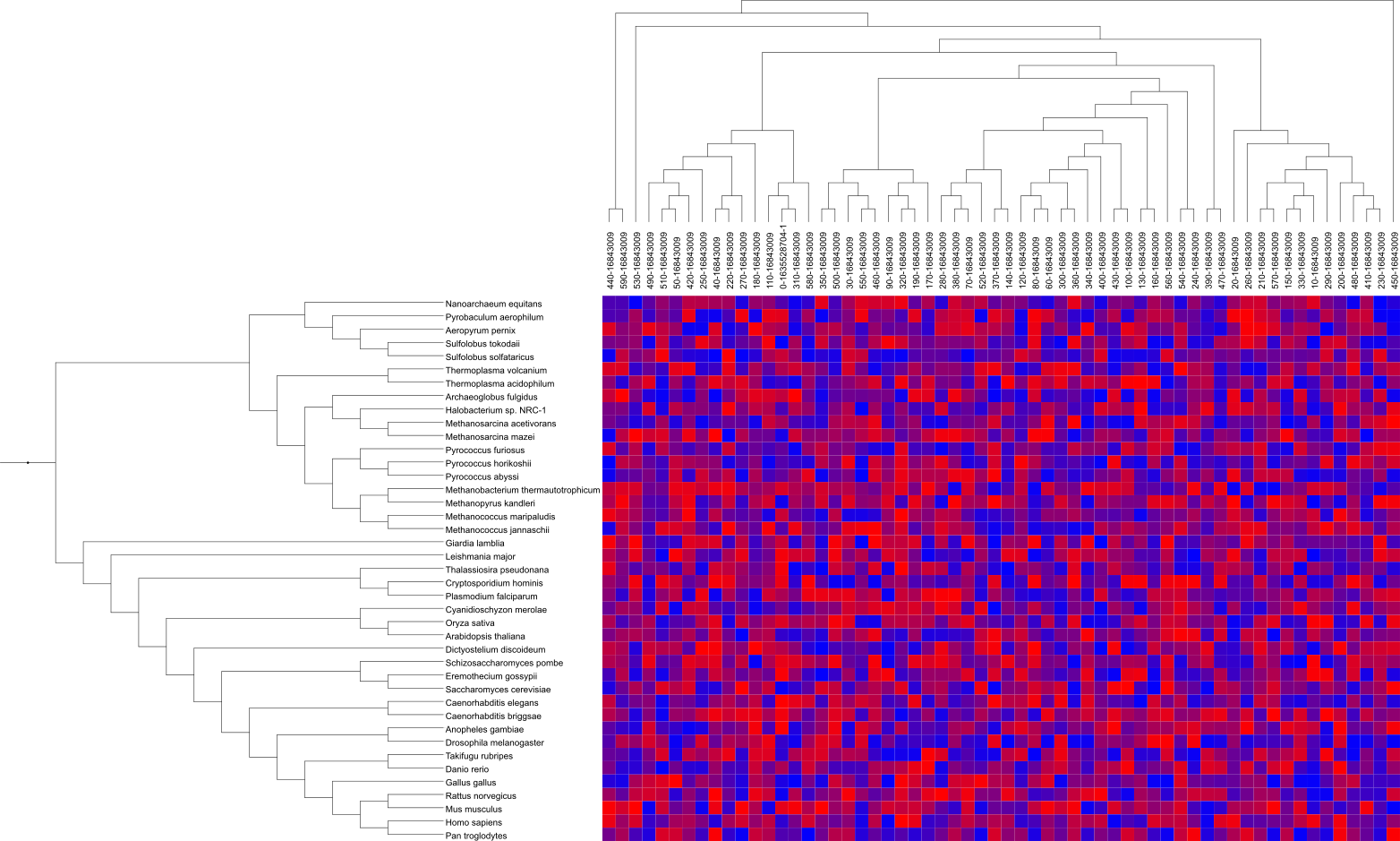 A heatmap dataset with an additional tree