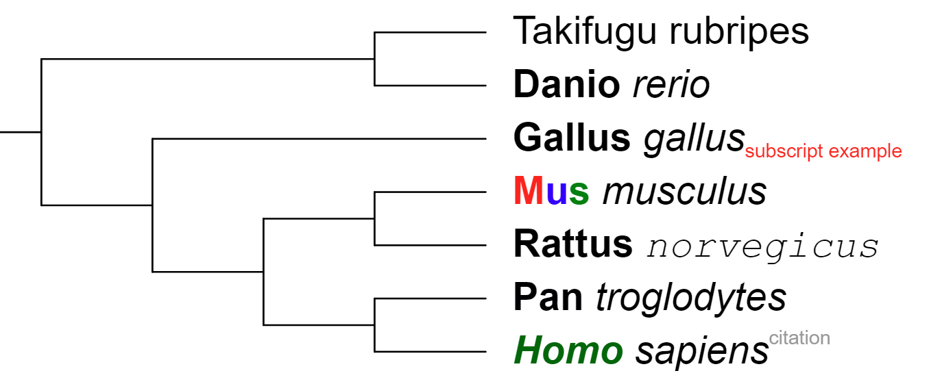 Text labels with multiple styles