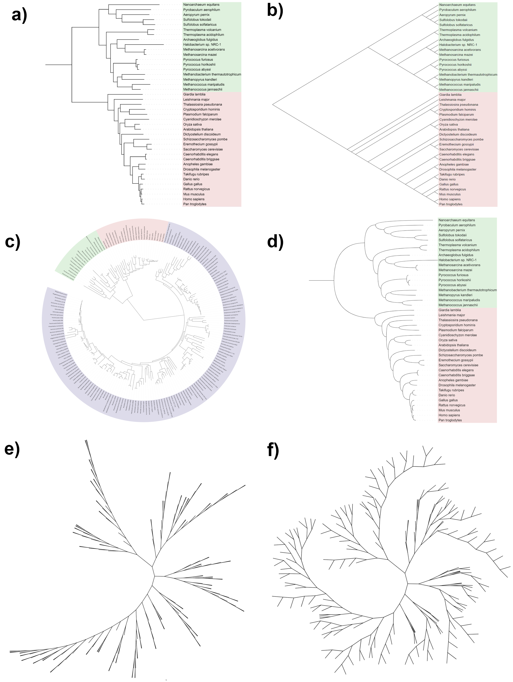 Tree display modes