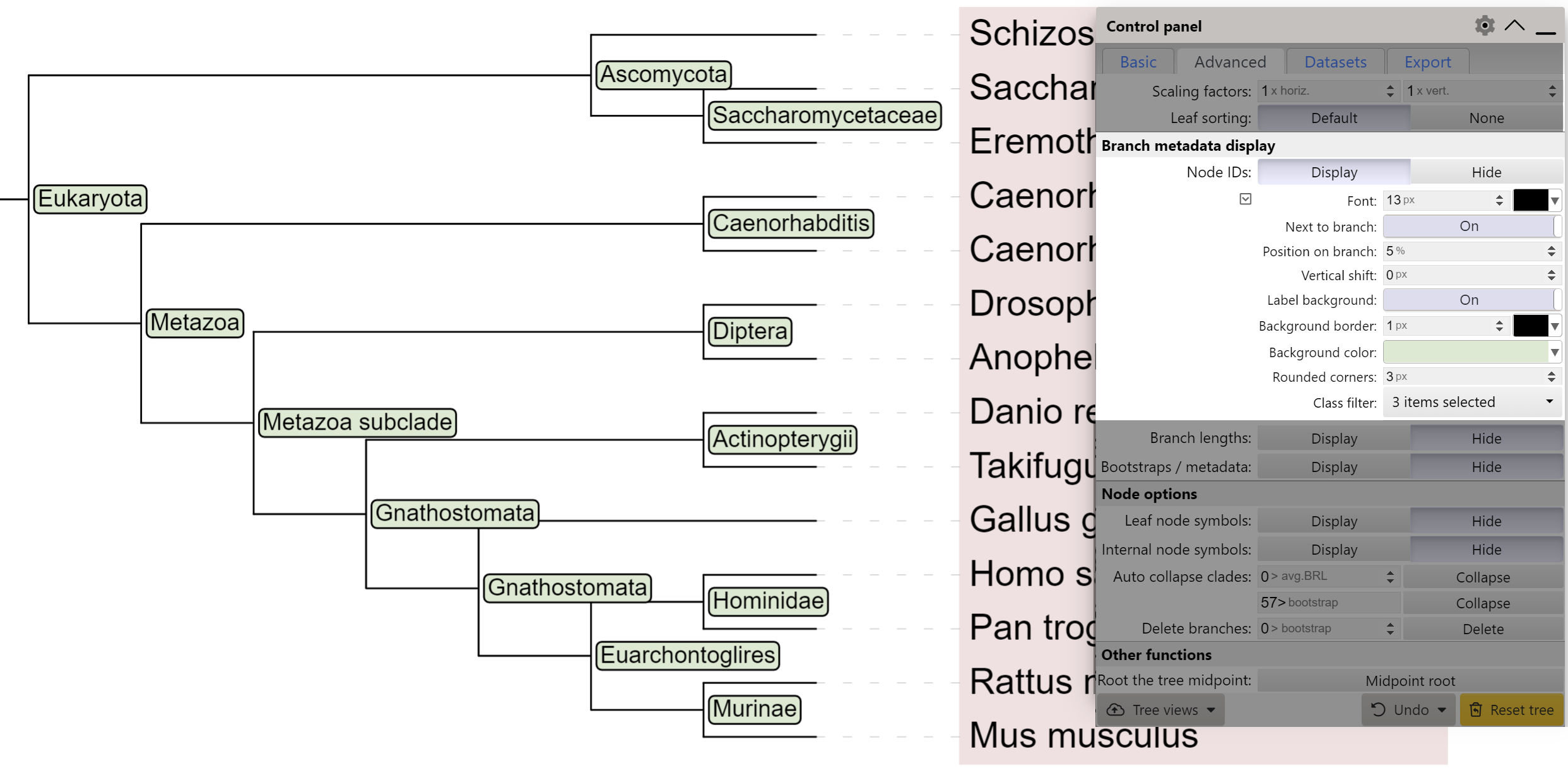 Displaying internal node labels