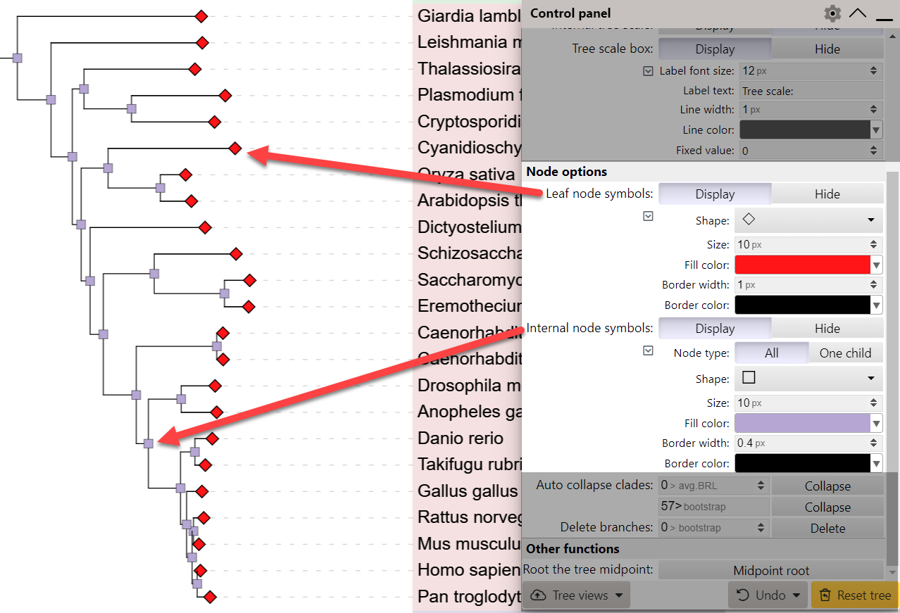 Node symbols