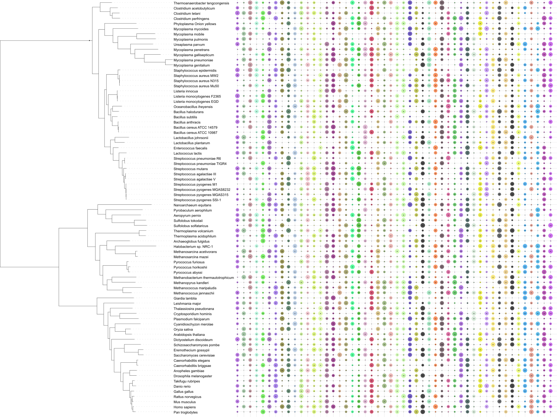 A dot plot with full grid and dataset values displayed