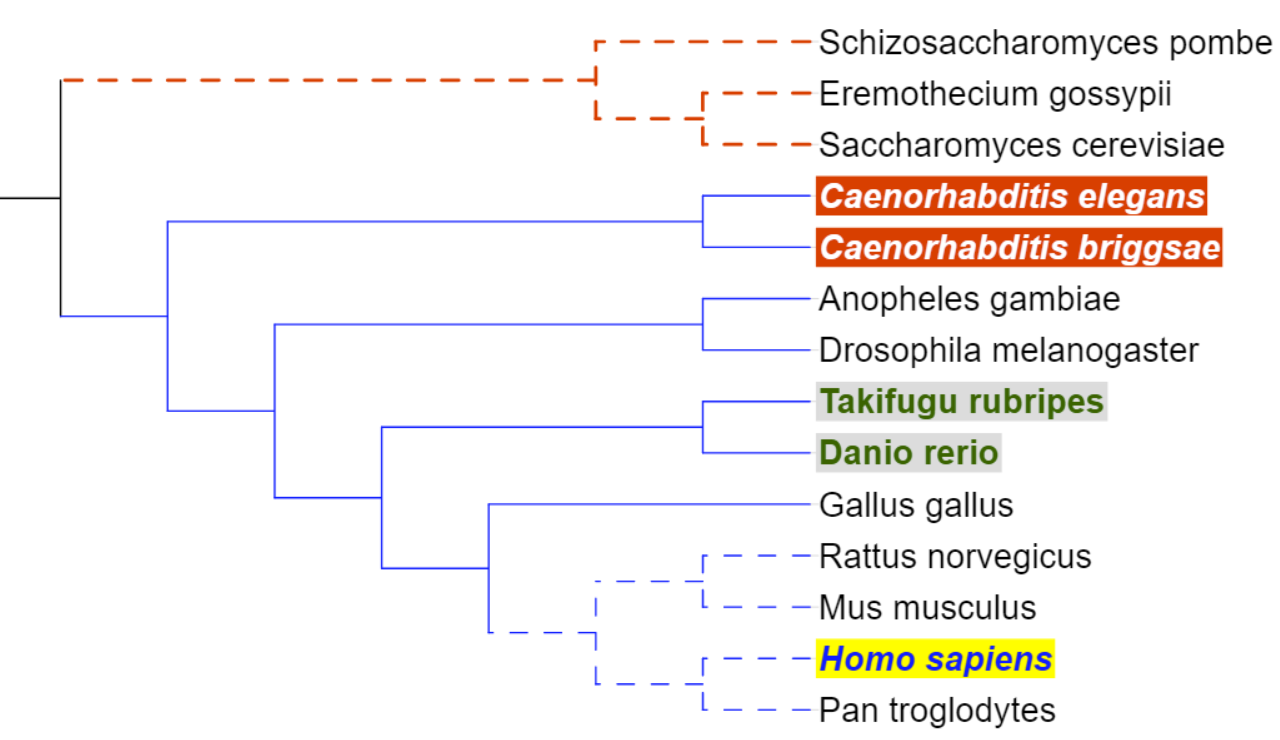 An example branch and label styles dataset