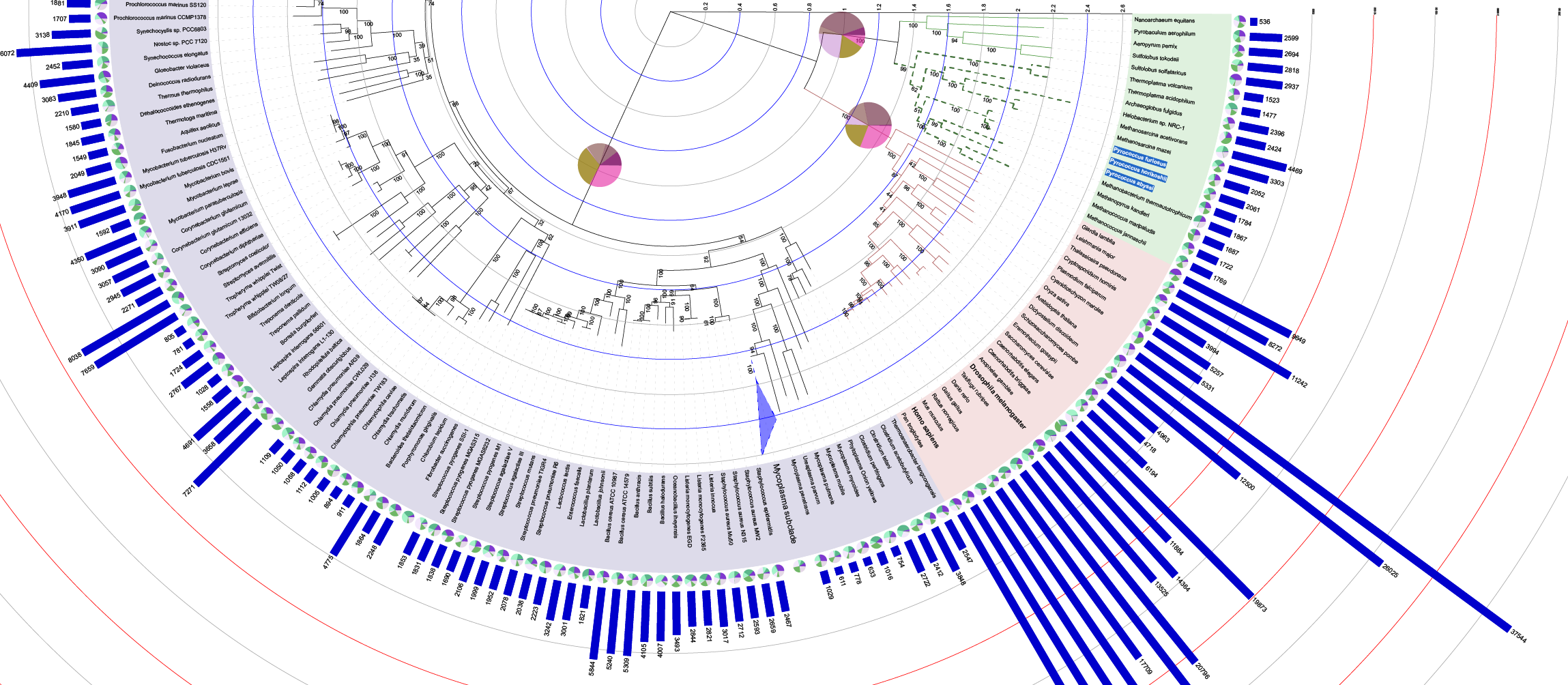 An example annotated tree